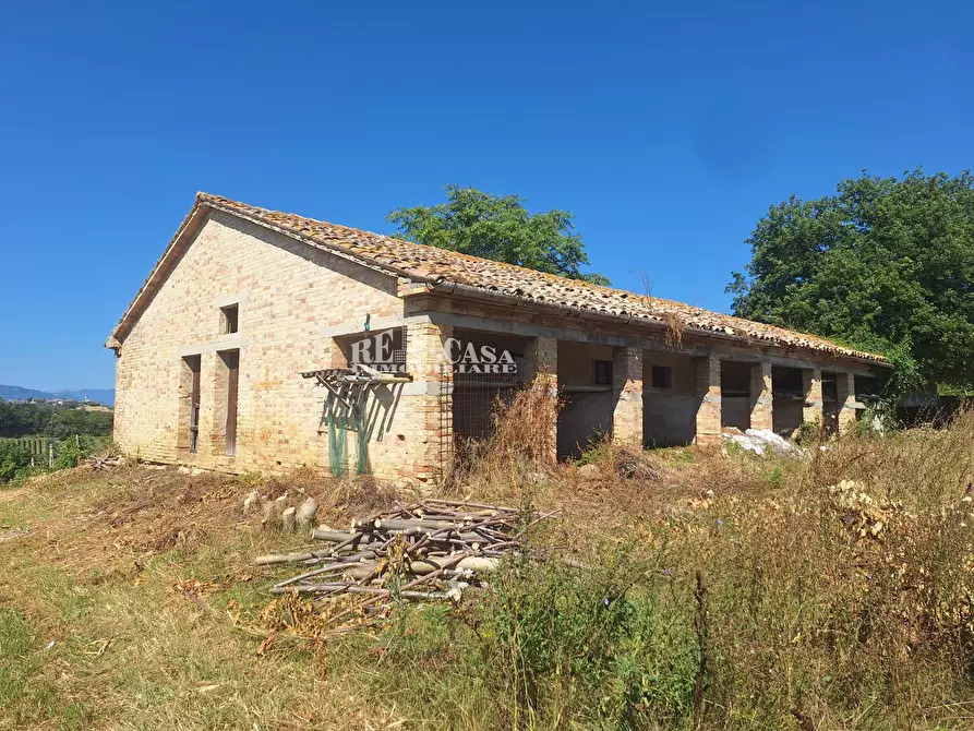 Immagine 11 di Rustico / casale in vendita  in via vecchia palazzi snc a Spinetoli