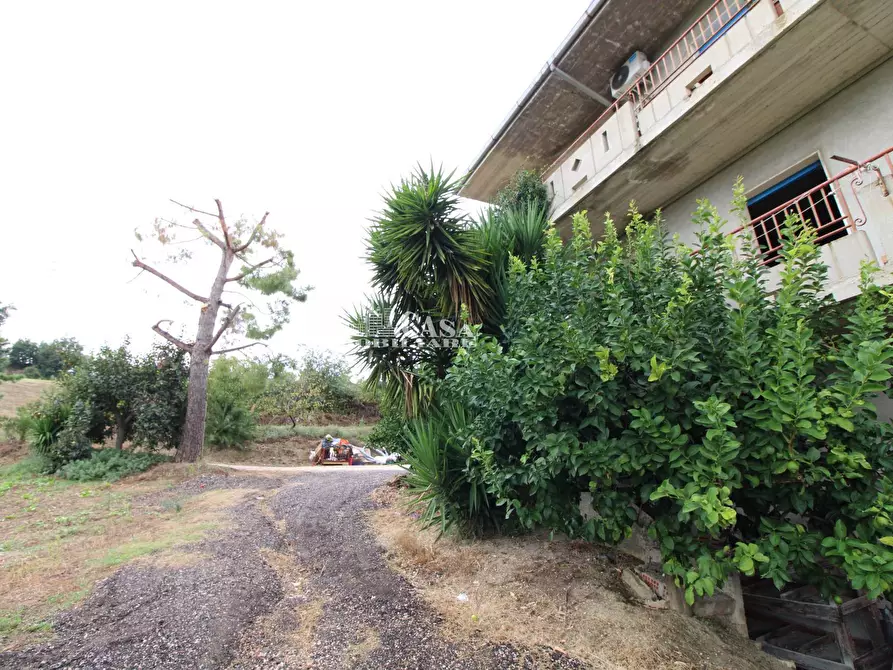 Immagine 12 di Casa indipendente in vendita  in via pallino 10 a Spinetoli