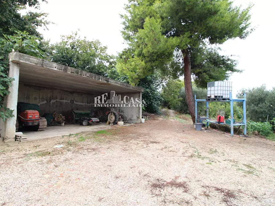 Immagine 15 di Casa indipendente in vendita  in via pallino 10 a Spinetoli