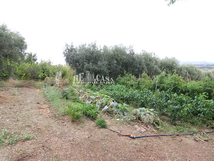 Immagine 16 di Casa indipendente in vendita  in via pallino 10 a Spinetoli