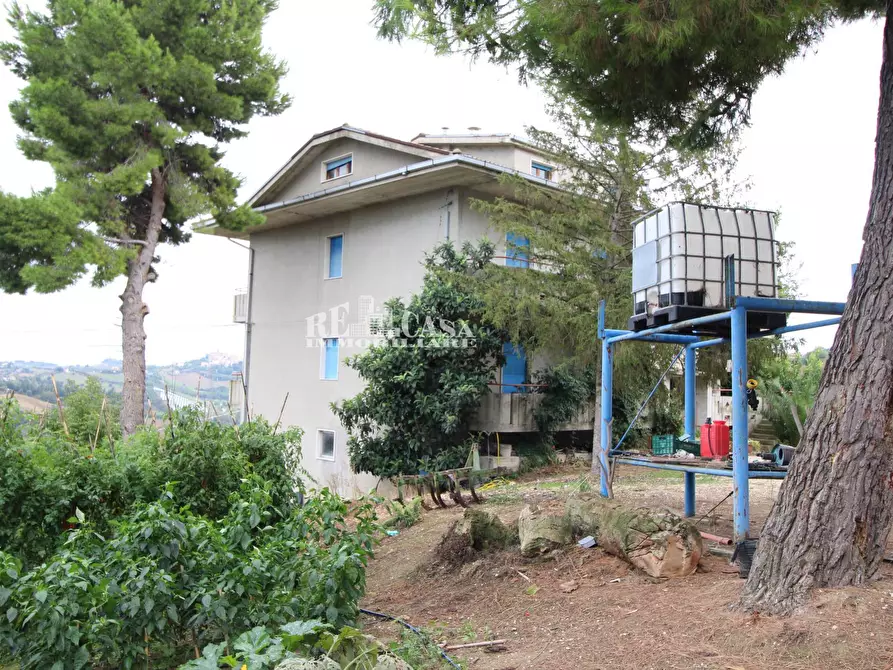 Immagine 7 di Casa indipendente in vendita  in via pallino 10 a Spinetoli