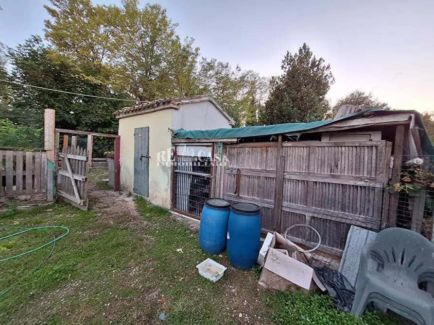 Immagine 3 di Rustico / casale in vendita  in CONTRADA PIEDIPRATO a Spinetoli