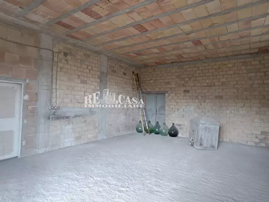 Immagine 56 di Casa indipendente in vendita  in via pallino 10 a Spinetoli