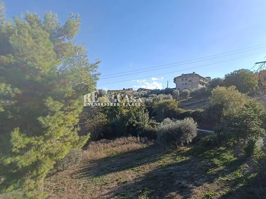 Immagine 17 di Casa indipendente in vendita  in via pallino 10 a Spinetoli