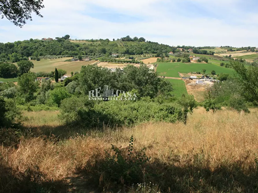Immagine 1 di Terreno agricolo in vendita  in contrada fontanelle a Monsampolo Del Tronto