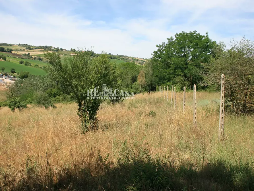 Immagine 2 di Terreno agricolo in vendita  in contrada fontanelle a Monsampolo Del Tronto