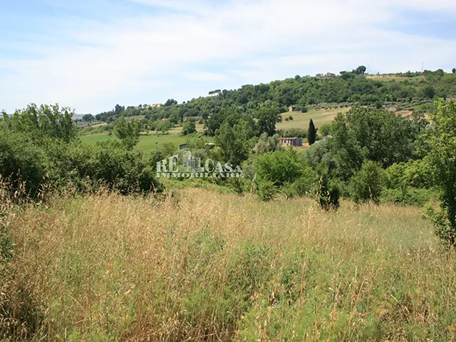 Immagine 3 di Terreno agricolo in vendita  in contrada fontanelle a Monsampolo Del Tronto