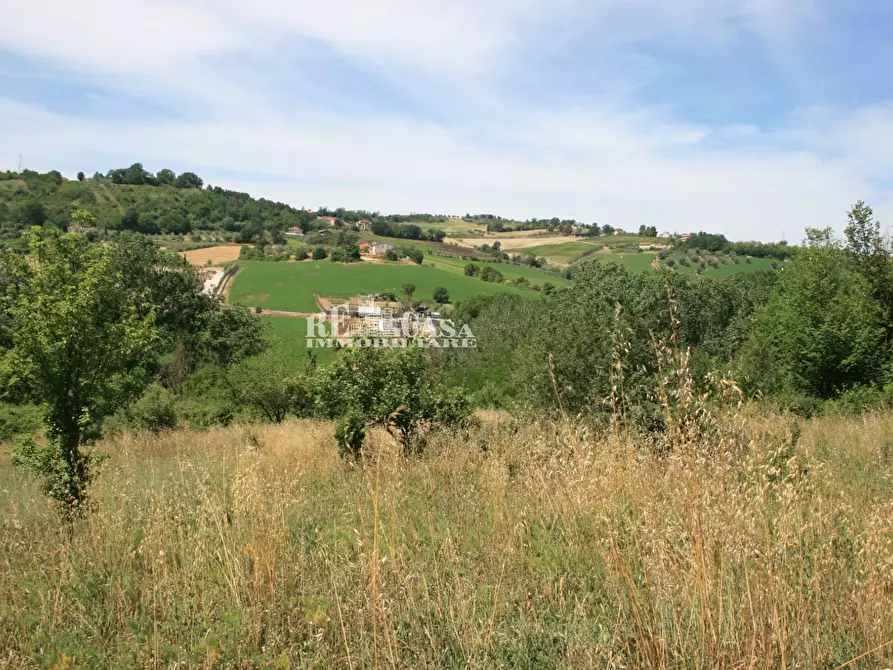 Immagine 4 di Terreno agricolo in vendita  in contrada fontanelle a Monsampolo Del Tronto