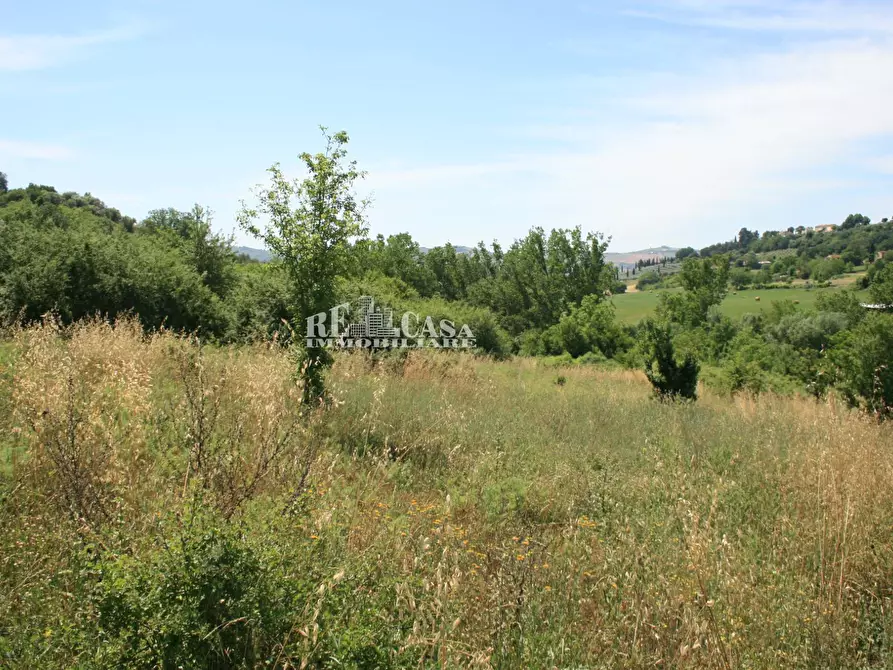 Immagine 8 di Terreno agricolo in vendita  in contrada fontanelle a Monsampolo Del Tronto