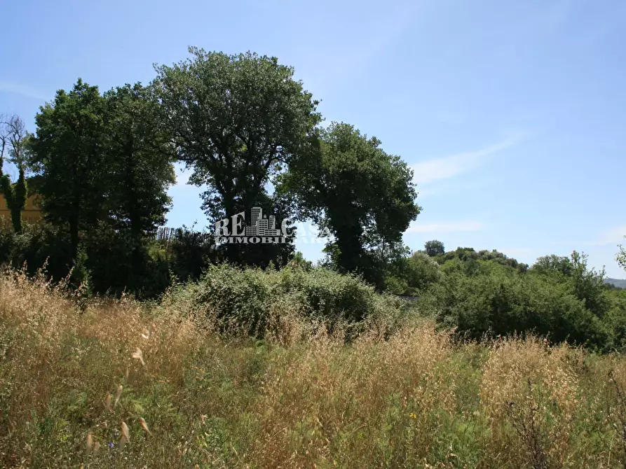 Immagine 10 di Terreno agricolo in vendita  in contrada fontanelle a Monsampolo Del Tronto
