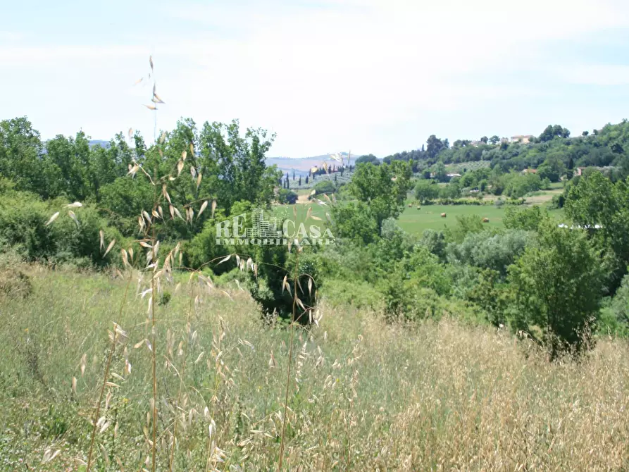 Immagine 11 di Terreno agricolo in vendita  in contrada fontanelle a Monsampolo Del Tronto