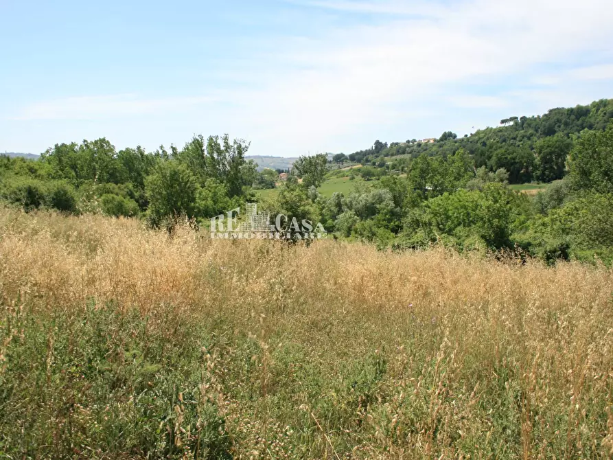 Immagine 12 di Terreno agricolo in vendita  in contrada fontanelle a Monsampolo Del Tronto