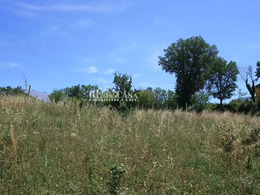Immagine 14 di Terreno agricolo in vendita  in contrada fontanelle a Monsampolo Del Tronto
