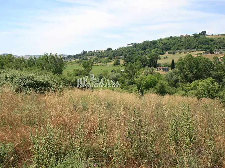 Immagine 15 di Terreno agricolo in vendita  in contrada fontanelle a Monsampolo Del Tronto
