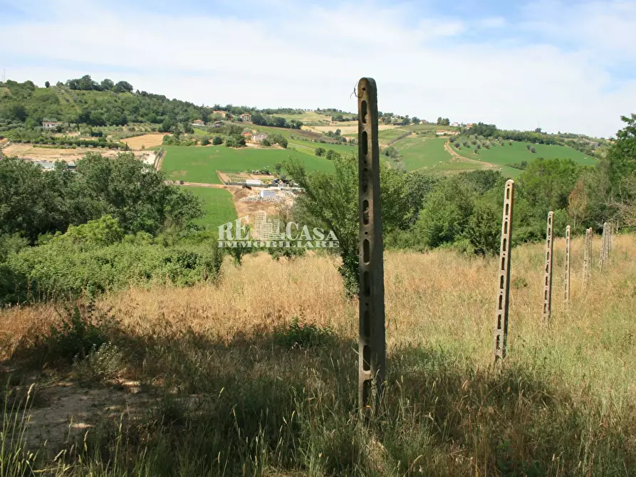 Immagine 16 di Terreno agricolo in vendita  in contrada fontanelle a Monsampolo Del Tronto