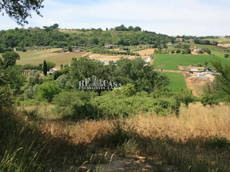 Immagine 17 di Terreno agricolo in vendita  in contrada fontanelle a Monsampolo Del Tronto
