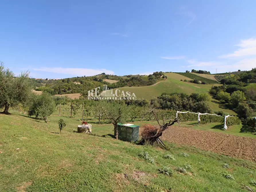 Immagine 3 di Casa indipendente in vendita  in SANT'ANTONIO 70 a Petritoli