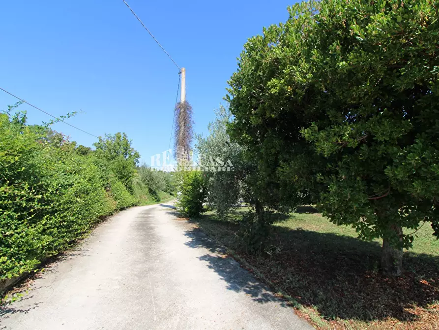 Immagine 4 di Casa indipendente in vendita  in SANT'ANTONIO 70 a Petritoli