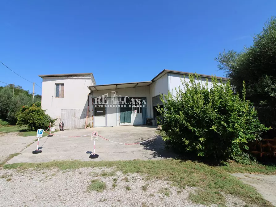 Immagine 9 di Casa indipendente in vendita  in SANT'ANTONIO 70 a Petritoli