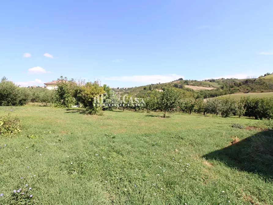 Immagine 13 di Casa indipendente in vendita  in SANT'ANTONIO 70 a Petritoli