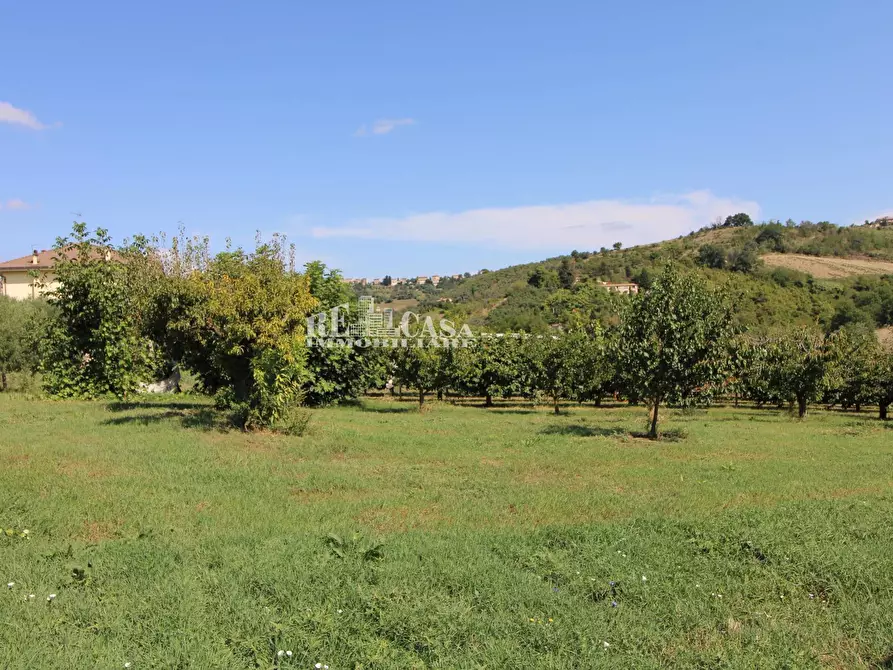 Immagine 14 di Casa indipendente in vendita  in SANT'ANTONIO 70 a Petritoli