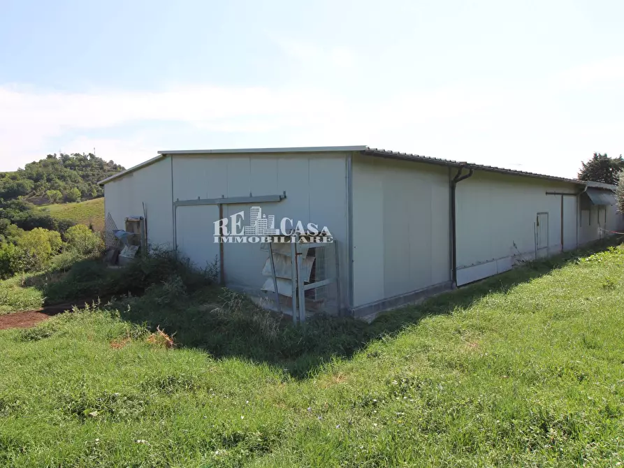 Immagine 15 di Casa indipendente in vendita  in SANT'ANTONIO 70 a Petritoli