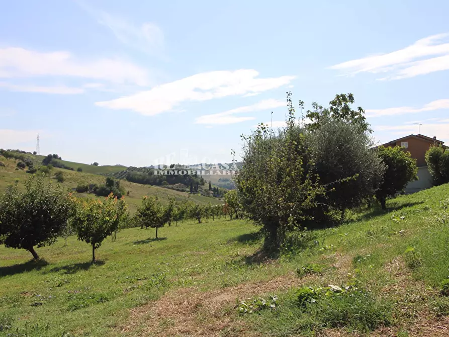 Immagine 16 di Casa indipendente in vendita  in SANT'ANTONIO 70 a Petritoli