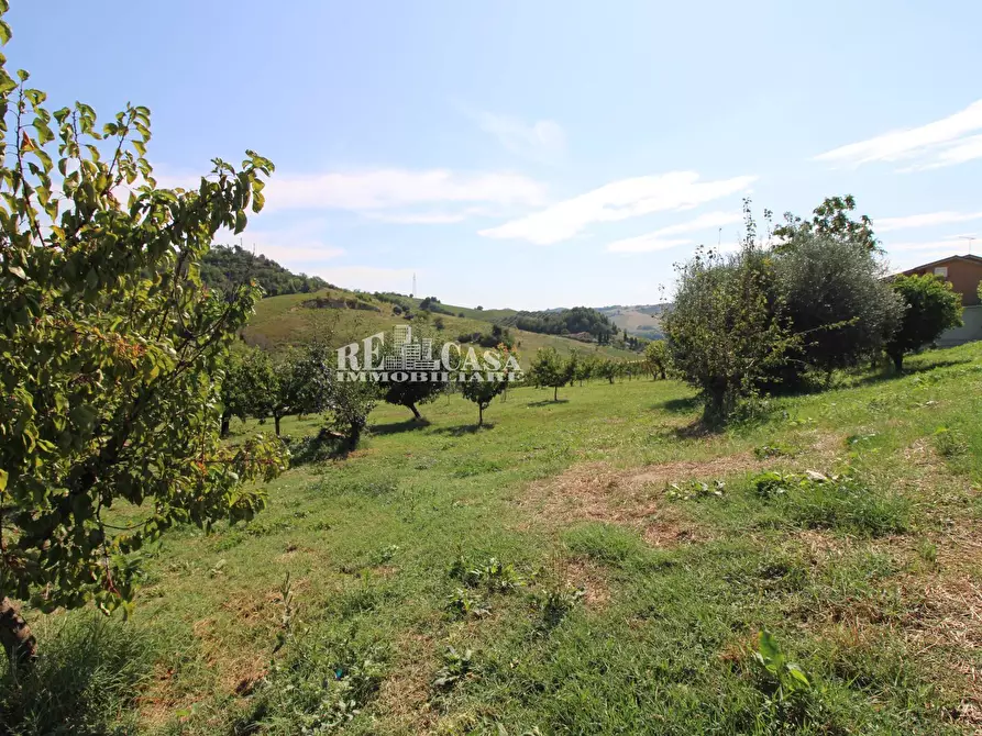 Immagine 17 di Casa indipendente in vendita  in SANT'ANTONIO 70 a Petritoli