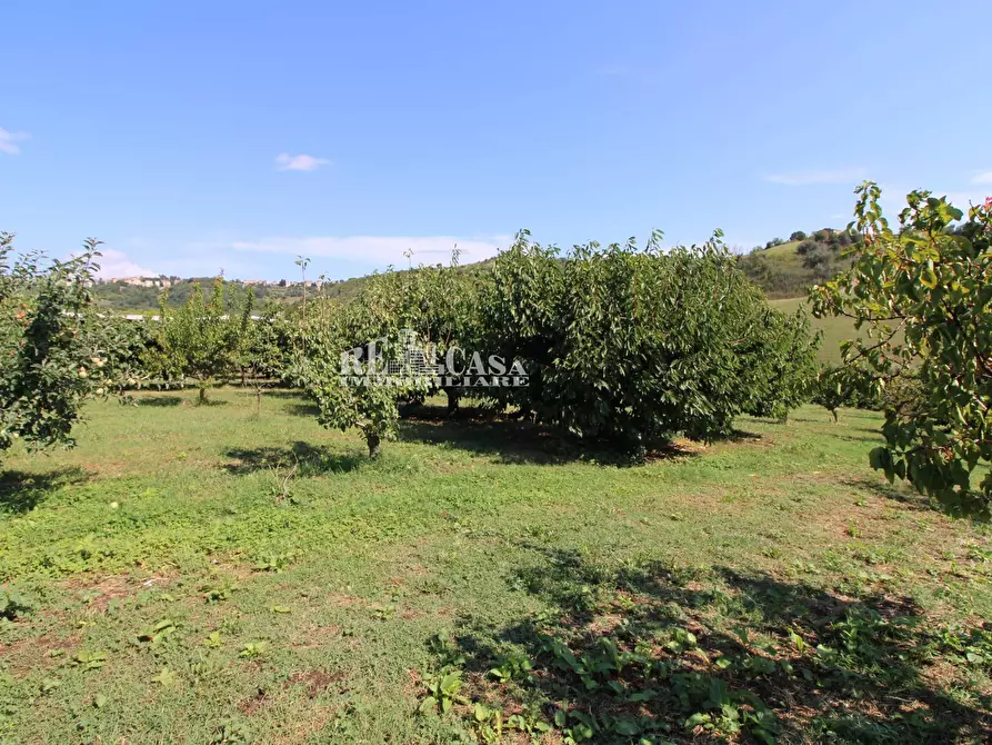 Immagine 18 di Casa indipendente in vendita  in SANT'ANTONIO 70 a Petritoli