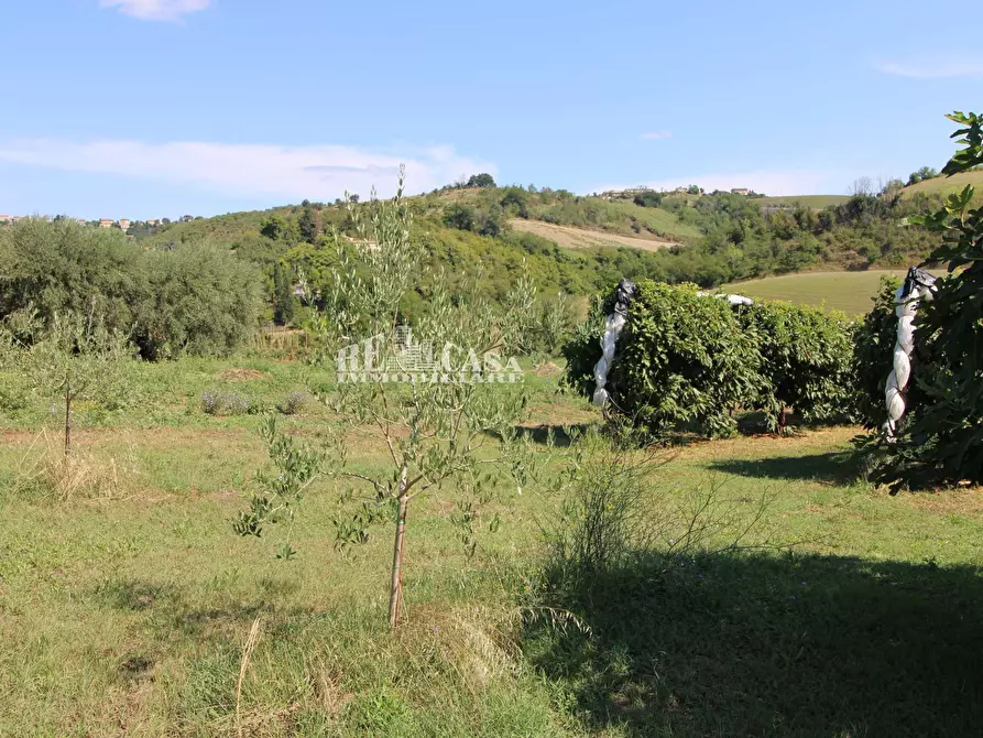 Immagine 19 di Casa indipendente in vendita  in SANT'ANTONIO 70 a Petritoli