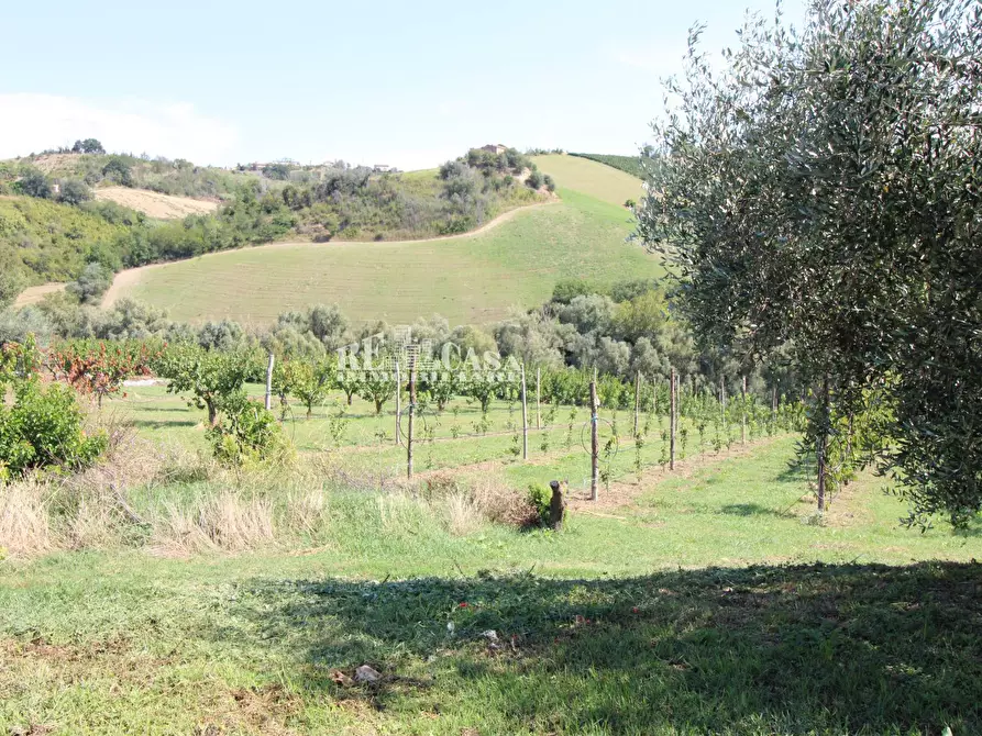 Immagine 22 di Casa indipendente in vendita  in SANT'ANTONIO 70 a Petritoli
