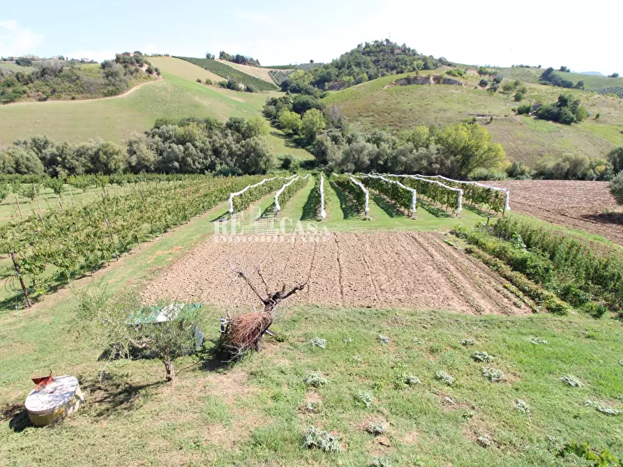 Immagine 45 di Casa indipendente in vendita  in SANT'ANTONIO 70 a Petritoli