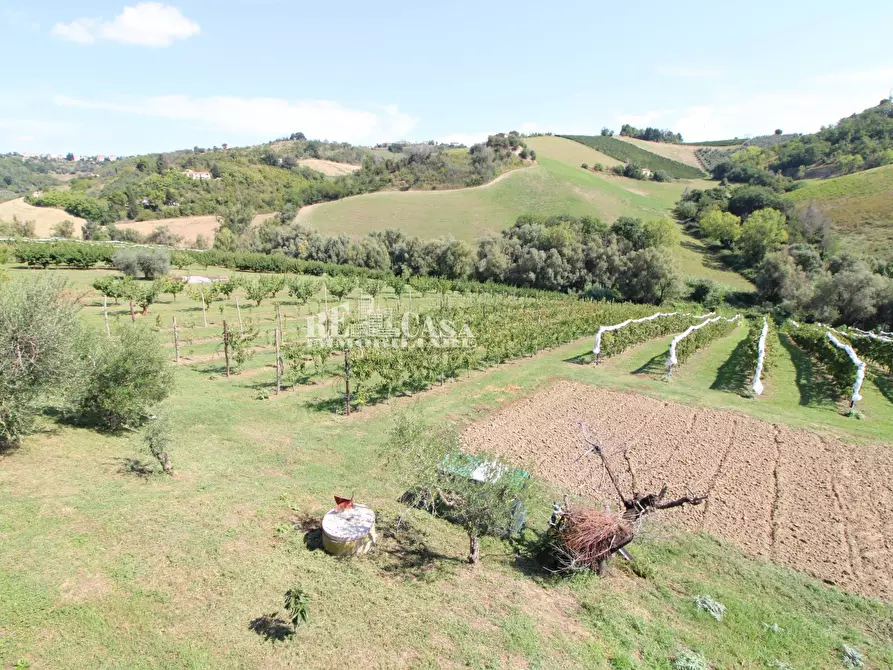Immagine 46 di Casa indipendente in vendita  in SANT'ANTONIO 70 a Petritoli