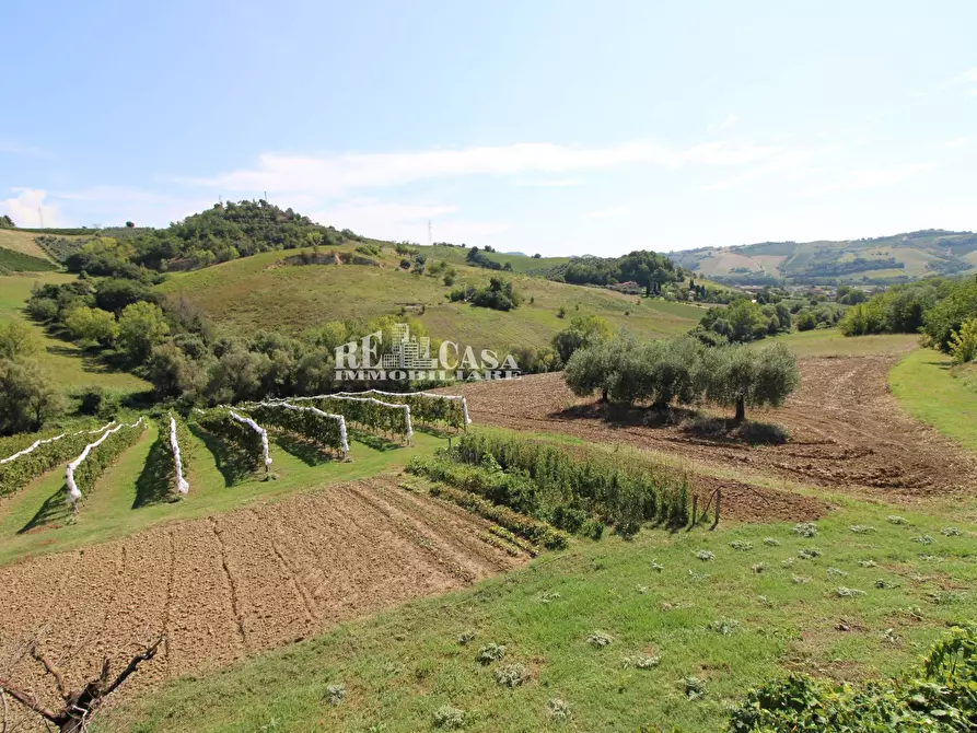 Immagine 47 di Casa indipendente in vendita  in SANT'ANTONIO 70 a Petritoli