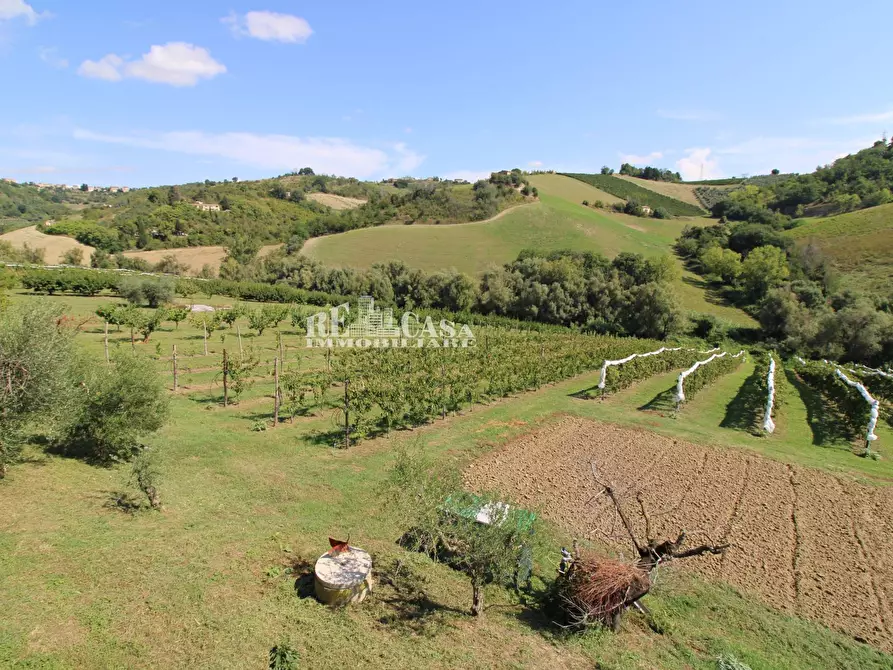 Immagine 49 di Casa indipendente in vendita  in SANT'ANTONIO 70 a Petritoli