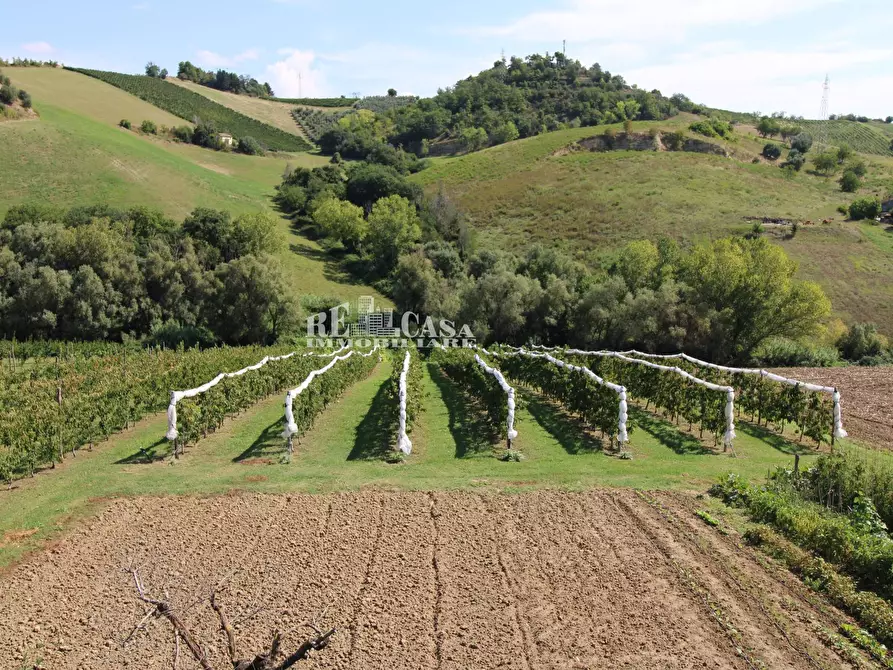 Immagine 51 di Casa indipendente in vendita  in SANT'ANTONIO 70 a Petritoli