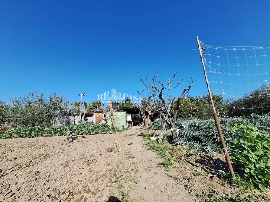 Immagine 10 di Terreno agricolo in vendita  in riserva naturale sentina a San Benedetto Del Tronto