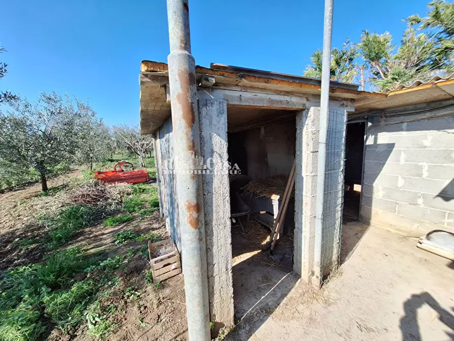 Immagine 18 di Terreno agricolo in vendita  in riserva naturale sentina a San Benedetto Del Tronto