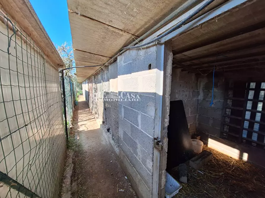 Immagine 19 di Terreno agricolo in vendita  in riserva naturale sentina a San Benedetto Del Tronto