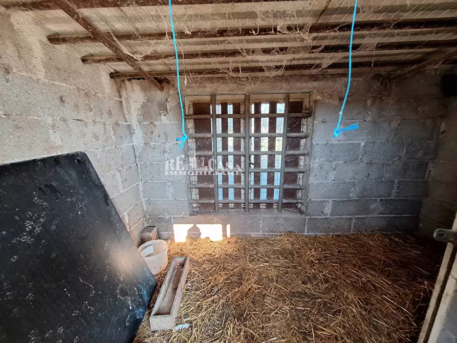 Immagine 23 di Terreno agricolo in vendita  in riserva naturale sentina a San Benedetto Del Tronto
