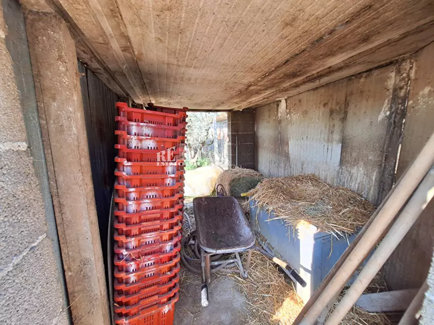 Immagine 24 di Terreno agricolo in vendita  in riserva naturale sentina a San Benedetto Del Tronto