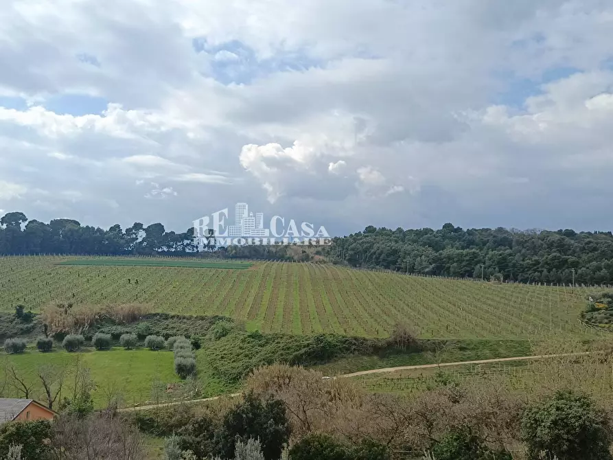 Immagine 2 di Appartamento in vendita  in CONTRADA MONTECANTINO 80 a Massignano