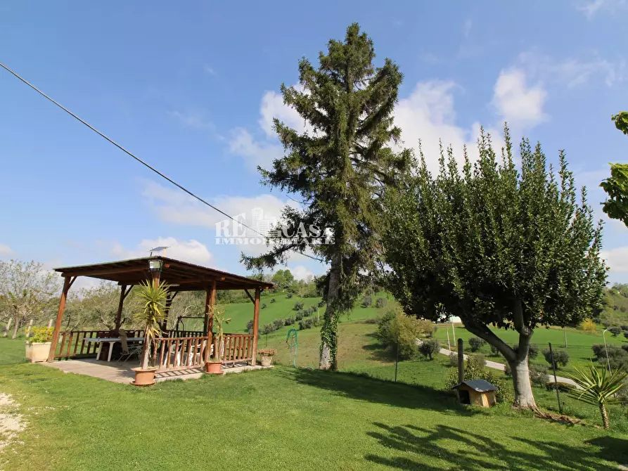 Immagine 3 di Casa indipendente in vendita  in contrada Castagneto 10 a Montegiorgio