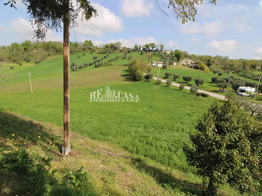 Immagine 4 di Casa indipendente in vendita  in contrada Castagneto 10 a Montegiorgio