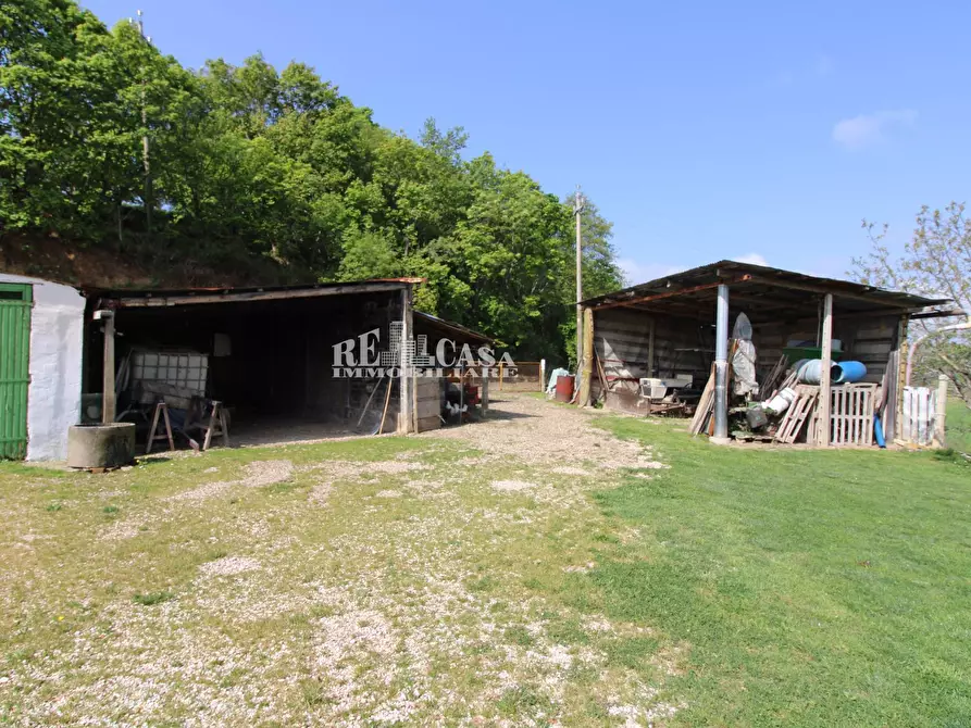 Immagine 10 di Casa indipendente in vendita  in contrada Castagneto 10 a Montegiorgio