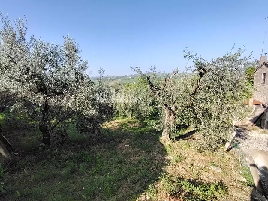 Immagine 53 di Casa indipendente in vendita  in via montecoccio 12 a Ancarano