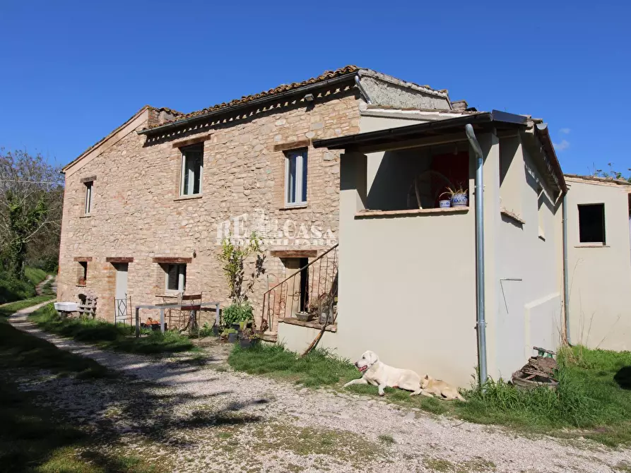 Immagine 1 di Rustico / casale in vendita  in contrada torbitello a Rotella