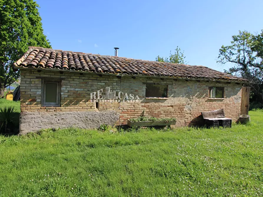 Immagine 2 di Rustico / casale in vendita  in contrada torbitello a Rotella