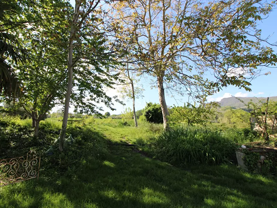 Immagine 4 di Rustico / casale in vendita  in contrada torbitello a Rotella