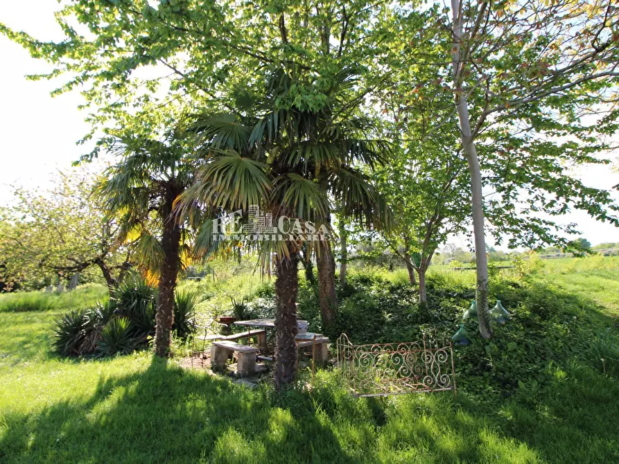 Immagine 5 di Rustico / casale in vendita  in contrada torbitello a Rotella